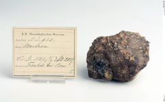 Foto von Meroxen (NHMW-MIN-Ad936)